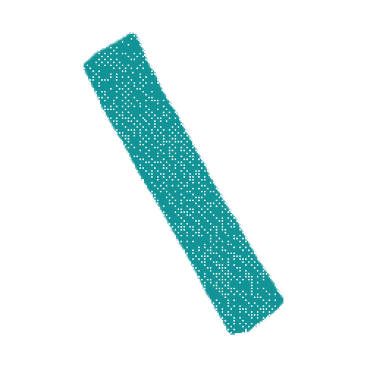 tecSLIP